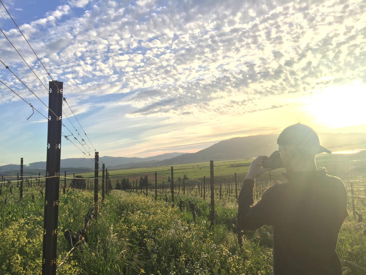 Desire Lines winemaker Cody Rasmussen taking a photo at Griffin’s Lair Vineyard in the Petaluma Gap AVA, California.